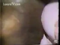 Slut fucks with a horse